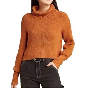 wild fable Cropped Ribbed Turtleneck Sweater in Rust